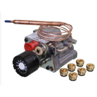 Rinnai Gas Heaters Eurosit Gas Valve 2001 Console PN 90184169