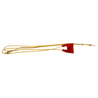 Thermocouple Suit Bosch 8707202058