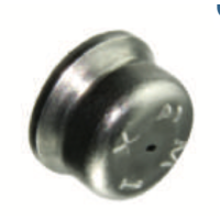 Bosch Pilot Injector LPG