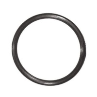 Enduro / Smart Valve Sand Filter O ring, Valve to Tank seal on V2000 22199