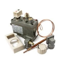 Breamar WF2000 Gas Valve LPG