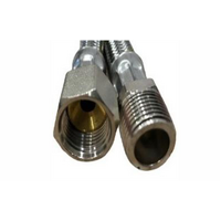 1800mm 3/8 MBSP x 3/8 FSAE Gas SS Braided Hose